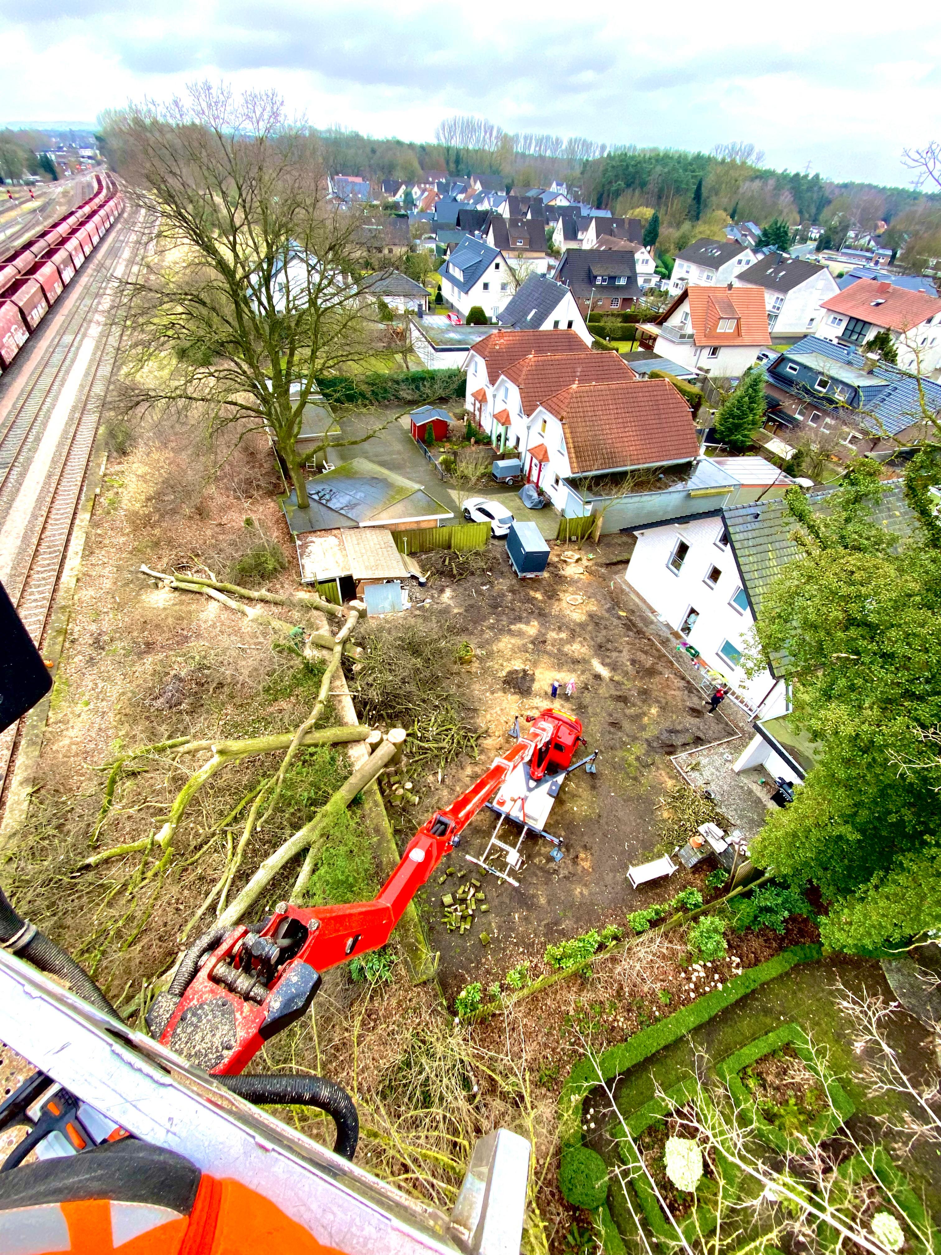 Baumfällung mit Hebebühne aus der Vogelperspektive in der Eifel