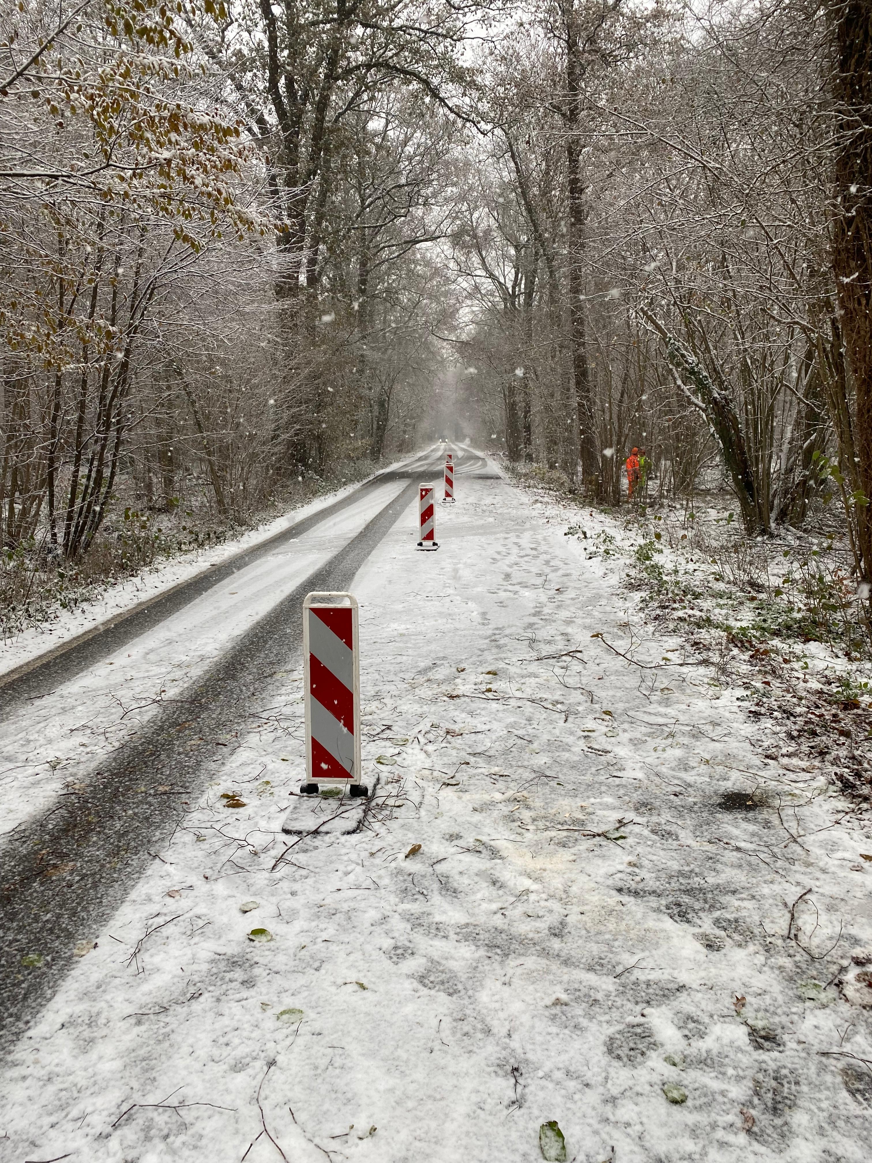 Verkehrssicherung mit Absperrbaken auf winterlicher Waldstraße in der Eifel